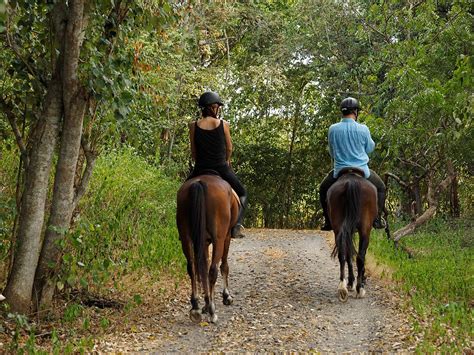 LES 10 MEILLEURES Équitation et promenades à Casablanca.